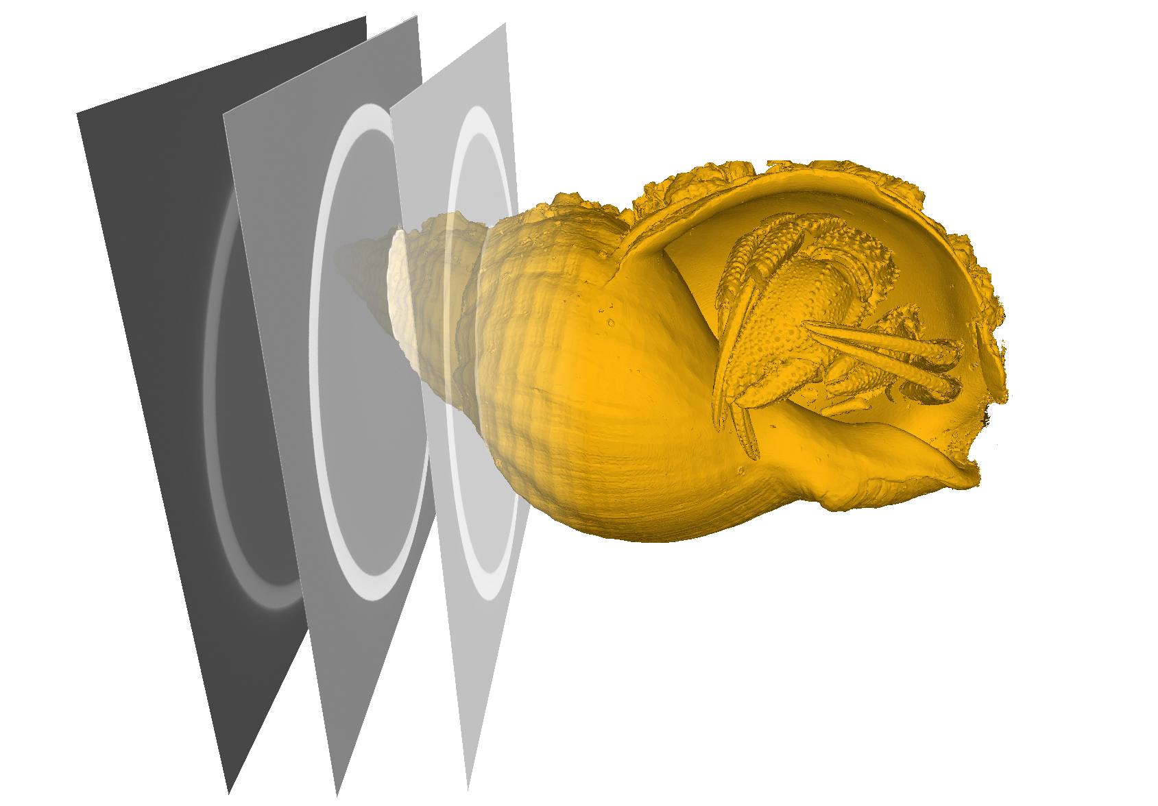 Classical Contouring Methods